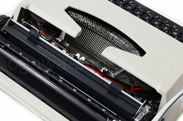 全体的に傷は少なめで綺麗な個体です。