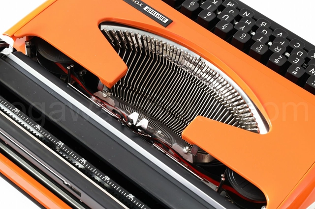 全体的に傷は少なめで綺麗な個体です。