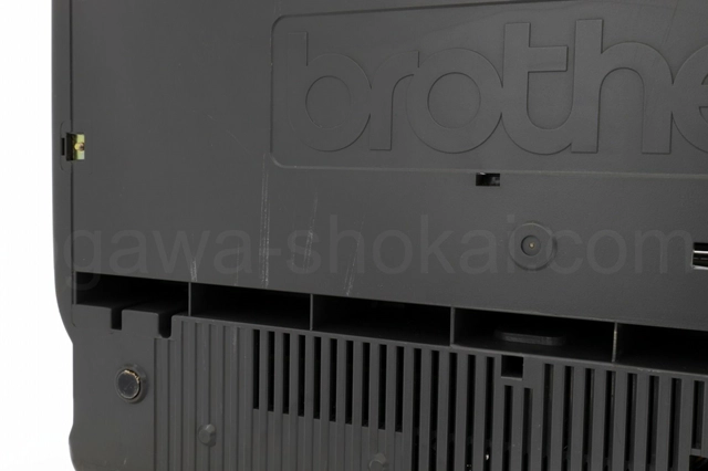 こちらが個体中一番ひどい傷になります。