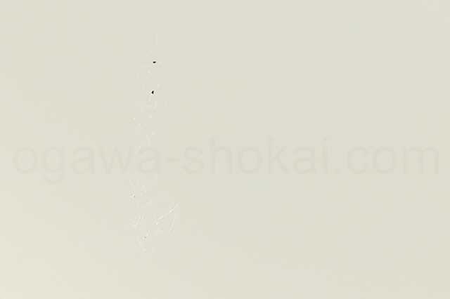 裏面の塗装の痛みと塗装落ち
