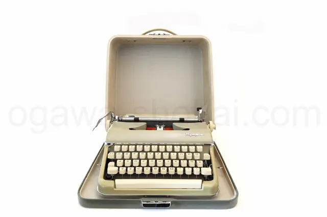 ケースに入れて保管することができます。